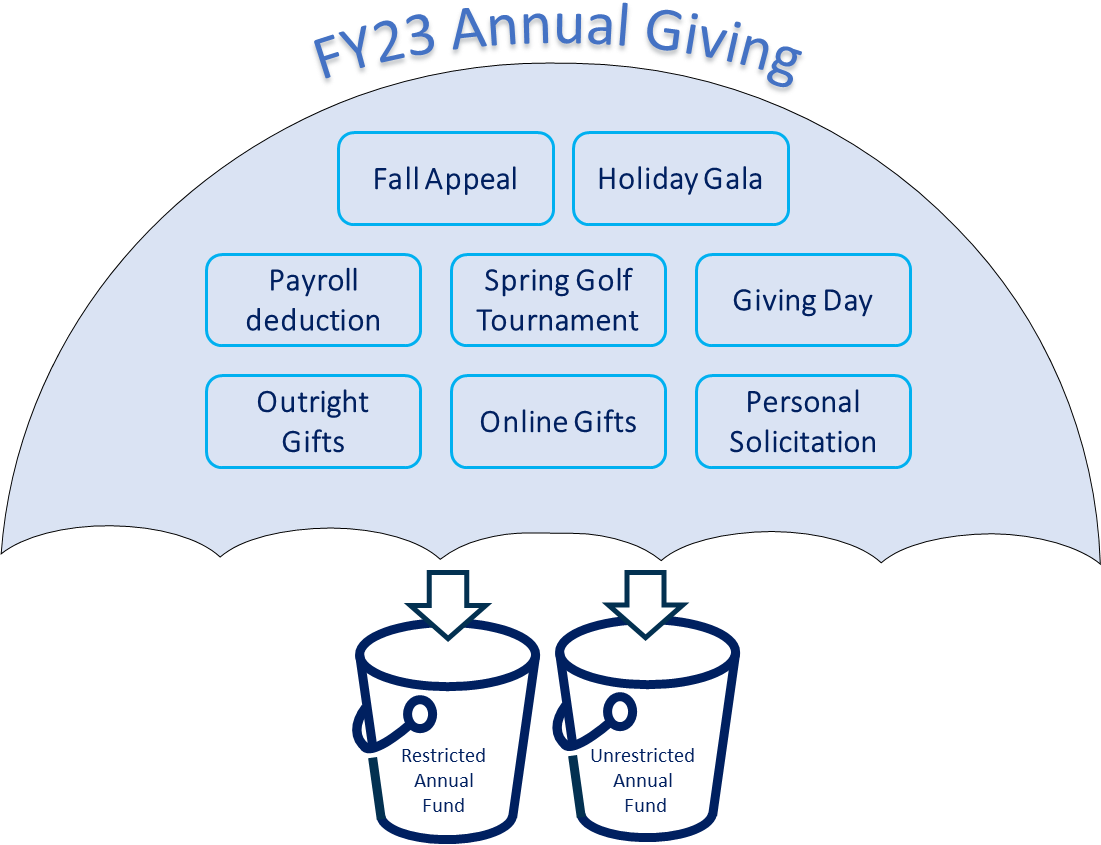 Fundraising Activities (Campaigns), Funds, & Event Terminology